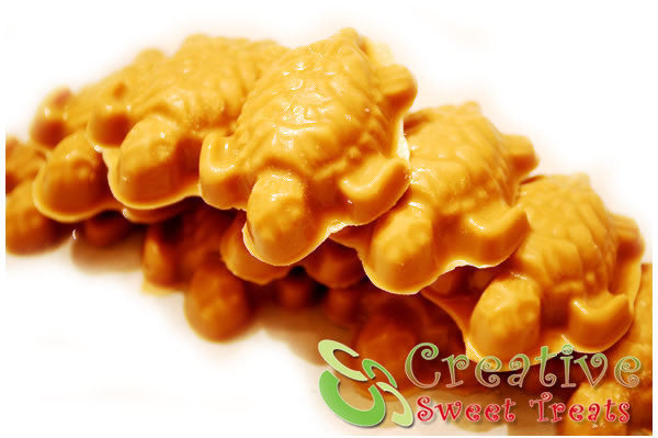 Turtle Shaped Candy Delivered
