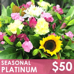 Flowers - Seasonal Platinum - St. Louis, MO Floral Delivery