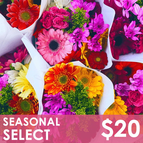 Flowers - Seasonal Select - St. Louis, MO Floral Delivery